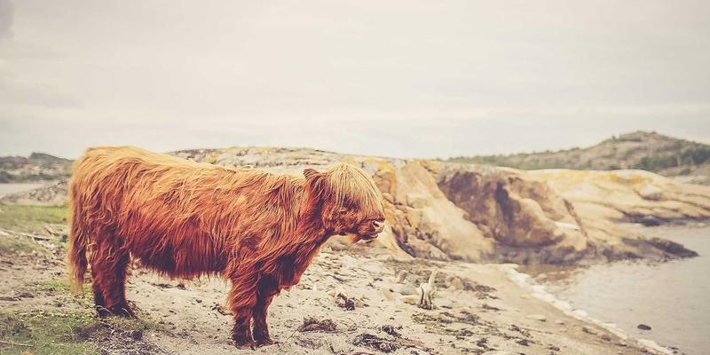 告别腰酸背痛：如何用人体工学按摩沙发，为你的脊柱定制专属放松方案