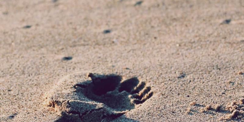 告别腰酸背痛:家用按摩沙发如何成为慢性背痛的现代解决方案