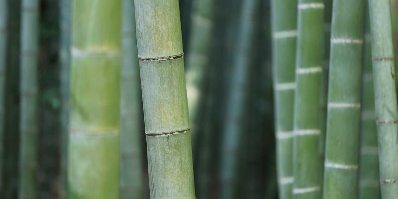 按摩沙发VS普通沙发：除了揉捏捶打，这些隐藏功能正在重新定义家居舒适